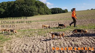 SAISON 22/23 ~ UNE CHASSE DE DINGUE AVEC LES BEAGLES ! ~ NOACHASSE22