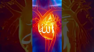 Zikr Allah 1 Minute #shorts - That will clean your soul and heart.