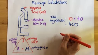 Microscope Calculations - p14