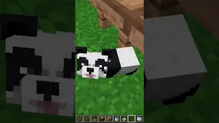 Cute and Easy Panda House! (Baby Pandas Too!)  | Minecraft | #Shorts