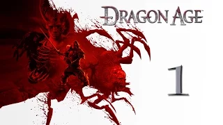 Прохождение Dragon Age: Origins. Часть 1. Куда же без проблем?