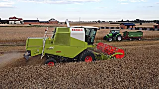 🔥Żniwa Pszenicy Ozimej z Claas'ą! 🔥Deutz Fahr & Claas w Akcji🔥 Łódzkie