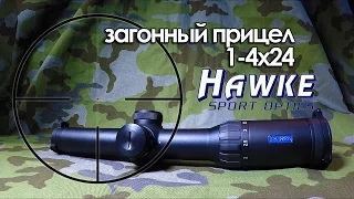 "Загонный" прицел Hawke Endurance 30 1-4х24 | Магазин ALLAMMO.RU