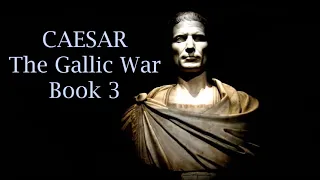 Julius Caesar's Commentaries on the Gallic War - Book 3