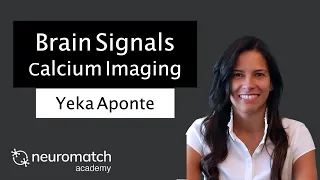 Brain Signals: Calcium Imaging