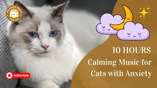 Calming Music for Cats with Anxiety No Ads 10 Hours 🎵 Relaxing Music For Cat