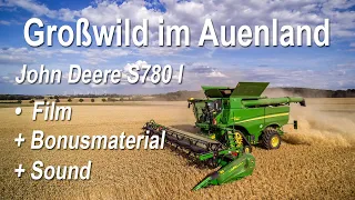 Wheat harvest - GROßWILD im AUENLAND | JOHN DEERE S 780 I - Film + Bonusmaterial - Sound |