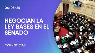 Ley Bases: cómo será la discusión en el Senado