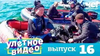 Улетное видео | Выпуск 16