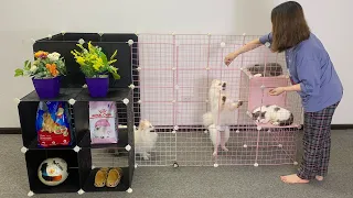 DIY Pomeranian Dog Cat House Ideas For Sale - MR PET #108