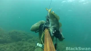 Подводная охота в Черном море