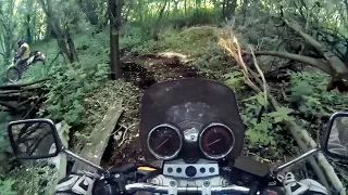 Honda CB400 на бездорожье (почти джунгли))
