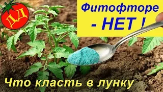 ЧТО КЛАСТЬ В ЛУНКИ ПРИ ПОСАДКЕ