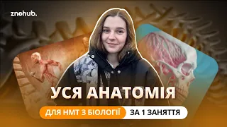 Уся анатомія для НМТ з біології за одне заняття