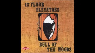 The 13th Floor Elevators - Bull of the Woods (1969)