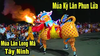 Múa Kỳ Lân Phun Lửa / Múa Rồng Nhang Tây Ninh / Múa Lân Long Mã 2021