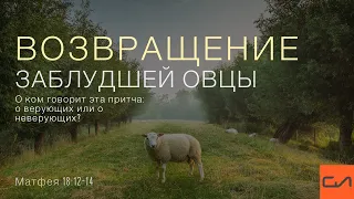 Матфея 18:12-14. Возвращение заблудшей овцы | Андрей Вовк | Слово Истины