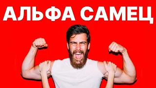 Как и почему АЛЬФА САМЦЫ притягивают к себе женщин?