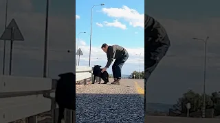 Я забрал щенка с автобусной остановки 🐾 Полное видео смотрите на моём основном канале @OlegNovikov1