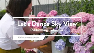 30 seconds with Let's Dance Sky View®