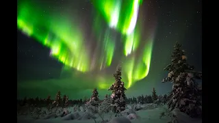 Northern Lights and Winter Experiences