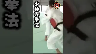 Embu Practice With Arai Sensei #shorts #shorinjikempo #budokan #martialarts #shortsfeed #viral #like