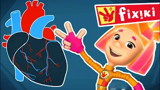 Fixiki în română - Nolik învață despre Inima ❤️