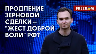 ЗЕРНОВАЯ СДЕЛКА: России выгодно затягивать проверку судов, – аналитик