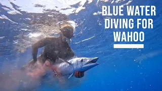 Spearfishing for Huge Ono (Wahoo) off a Jet Ski on Oahu!