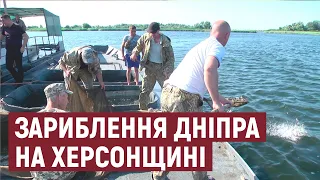 Зариблення Дніпра на Херсонщині: за день випустили у водойму 180 тисяч мальків стерляді