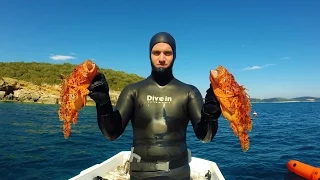 Spearfishing winter 2017