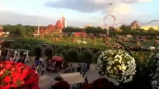 MIRACLE GARDEN IN DUBAI// FULL OF FLOWERS ЧУДО САД В ДУБАЕ// ПОЛЕН ЦВЕТОВ