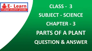CLASS 3 SCIENCE CHAPTER 3 PARTS OF A PLANT QUESTION AND ANSWER