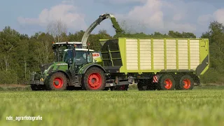 1.Schnitt häckseln 2k22 | Claas Jaguar 950, Fendt 724Vario, MB Trac 1500, Krone TX...|Teil 2[DROHNE]