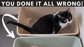 10 WORST Litter Box Mistakes Cat Owners Make