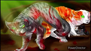 Centuries - Warrior Cats