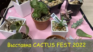 Сходила на выставку суккулентов и кактусов КАКТУС ФЕСТ 2022 // CACTUS FEST 2022 // Мои покупки