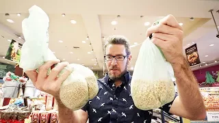 Brewing a beer with ONLY grocery store ingredients (PART 1)