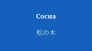 8 минут словарного запаса для изучения японского языка