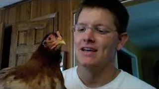 Chicken Head Tracking - Smarter Every Day