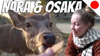 The Ultimate Osaka and Nara Vlog: A Journey Through Japan's Cultural Heartland