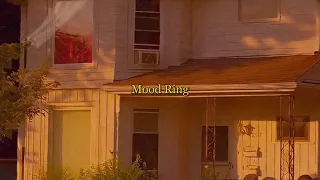 Lorde - Mood Ring (Vertical Lyric Video)