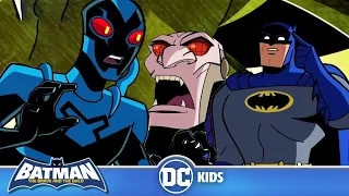 Batman: The Brave and the Bold | Blue Beetle Saves Batman's Life | @dckids