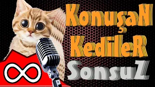 Konuşan Kediler Sonsuz ( ∞ )  - En Komik Kedi Videoları