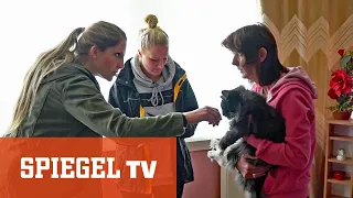 Die Tier-Retterinnen: Wenn Hund und Katz in Not sind | SPIEGEL TV