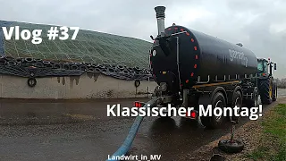 Vlog #37 Klassischer Montag. Rindergülle für die BGA fahren.