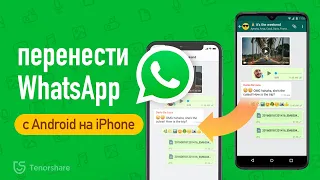 Как перенести WhatsApp с Android на iPhone 13[2021]