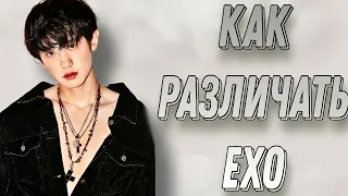 Учим группу EXO / Как различать EXO / Знакомство с EXO | Kpop Soul