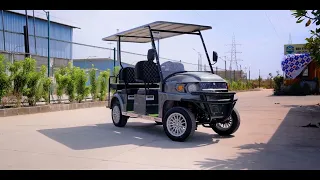 Electric Golf Cart