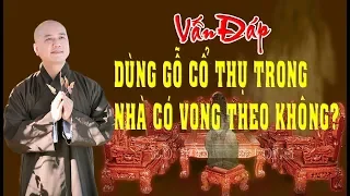 Vấn Đáp | Trên các cây cổ thụ có linh hồn trú ngụ không | Thầy Pháp Hòa